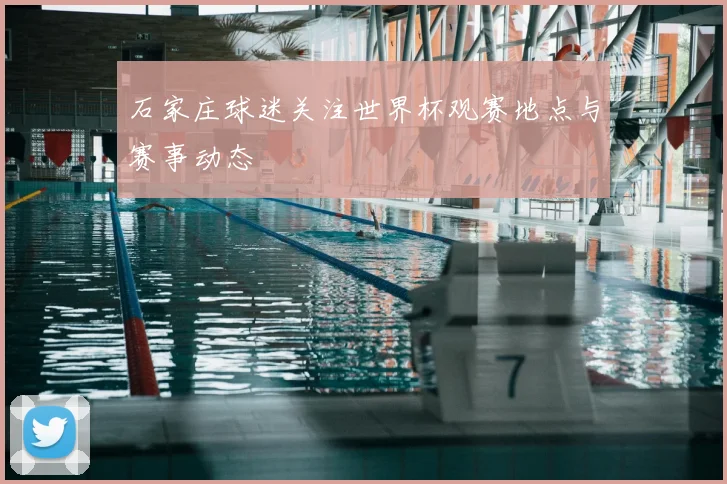 石家庄球迷关注世界杯观赛地点与赛事动态